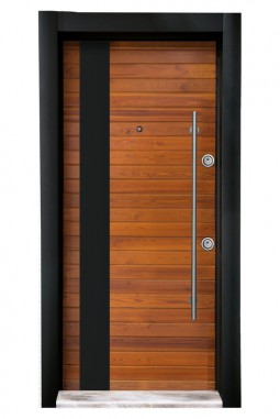  Beech American Walnut Tree