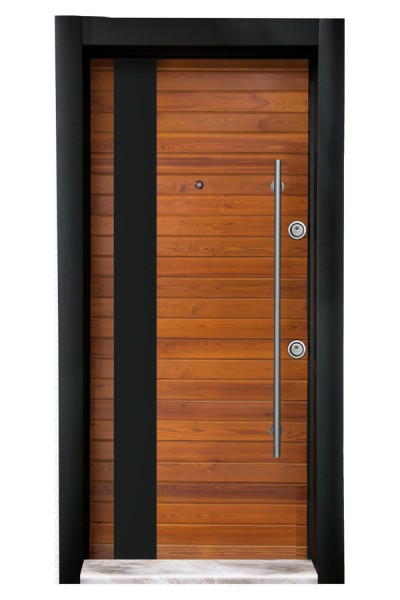  Beech American Walnut Tree